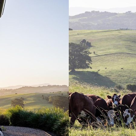 Villa Carinya Byron Bay Hayters Hill Exterior foto